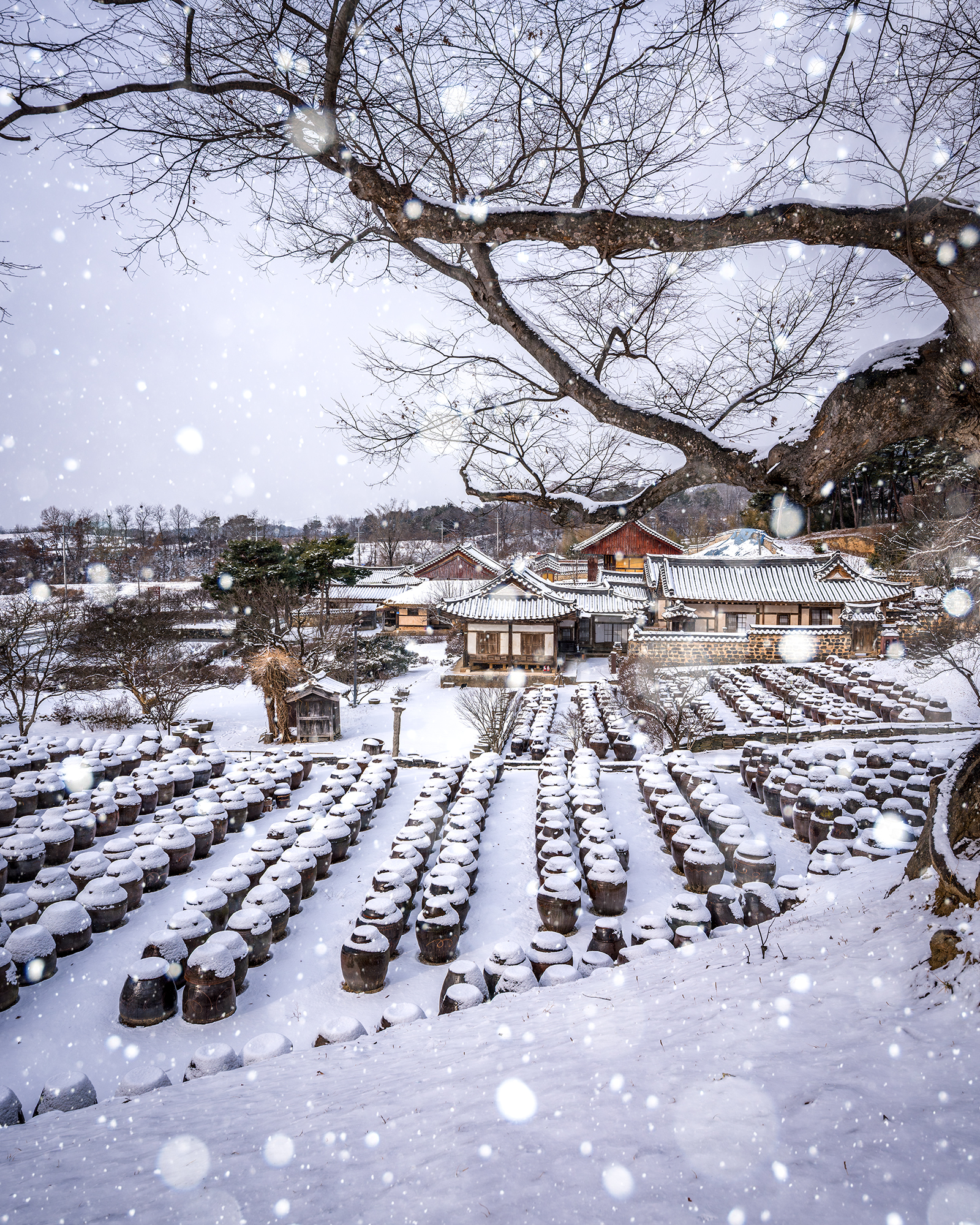 Myeongjae House