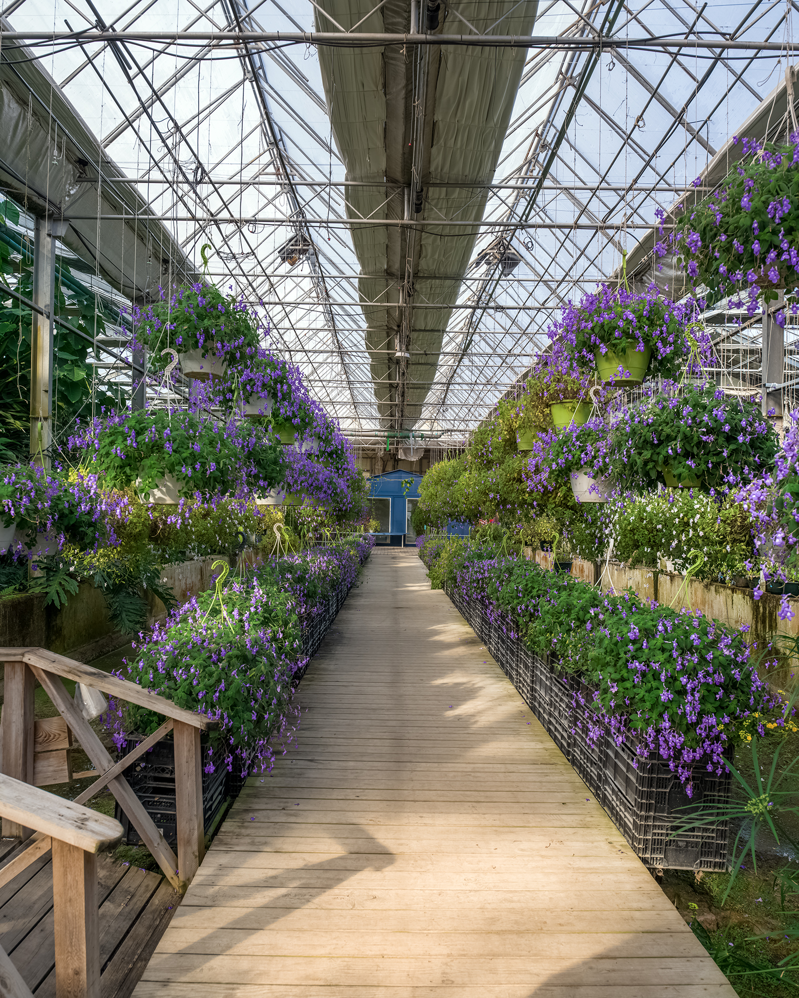 Botanical Garden