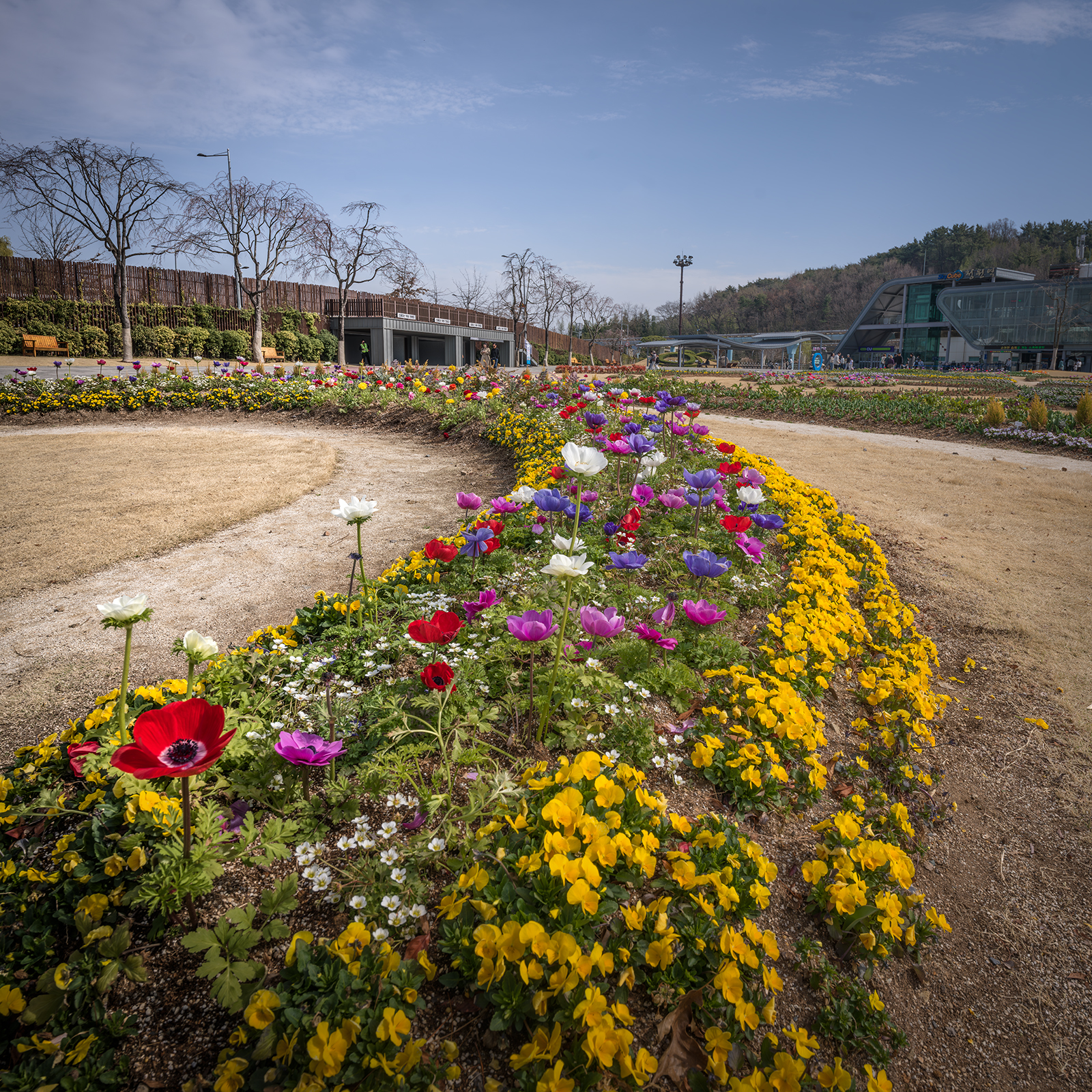 Flowers