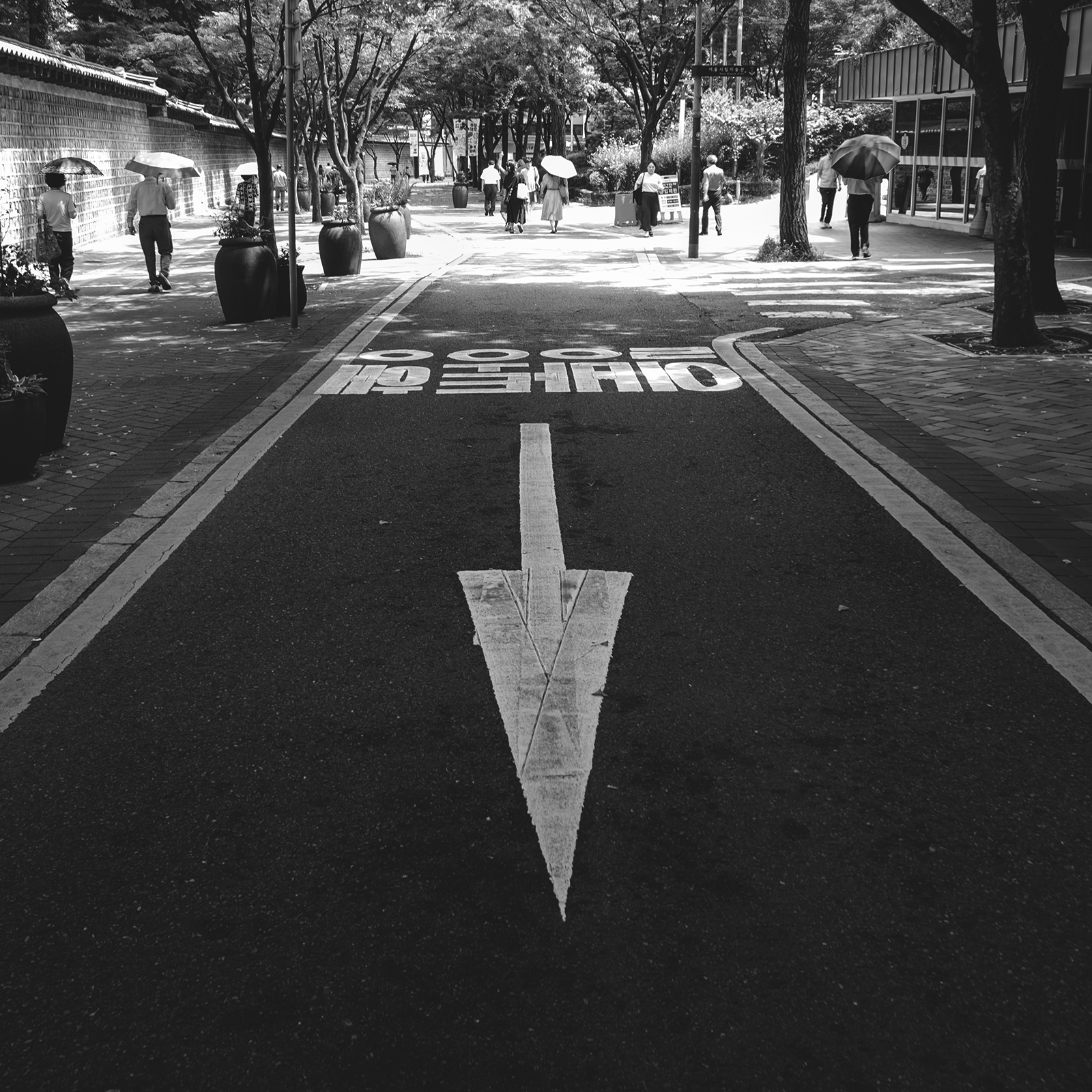 Stonewall Walkway - A black-and-white street scene shows a tree-lined walkway, pedestrians with umbrellas, and a large road arrow leading toward dappled light. - #DeoksugungStoneWallRoad #Deoksugung #DeoksugungPalace #StoneWallRoad #Jeongdong #Seoul #VisitSeoul #SeoulTravel #SouthKorea #Korea