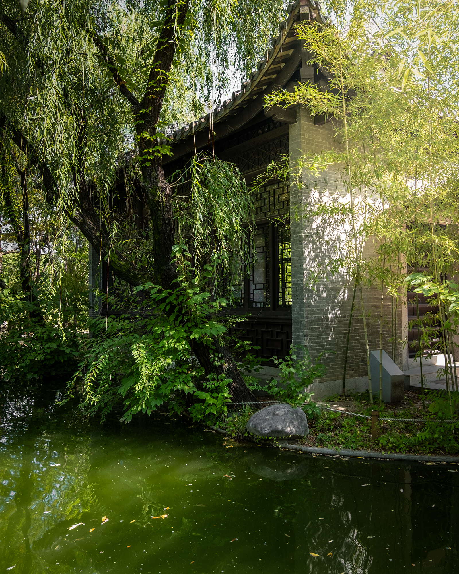 Wolhwawon - A traditional garden pavilion stands beside a green pond, framed by willow branches and bamboo in dappled sunlight. - #Wolhwawon #WolhwawonGarden #Suwon #SuwonKorea #HyowonPark #GyeonggiDo #SouthKorea #KoreaTravel #VisitKorea #TravelKorea