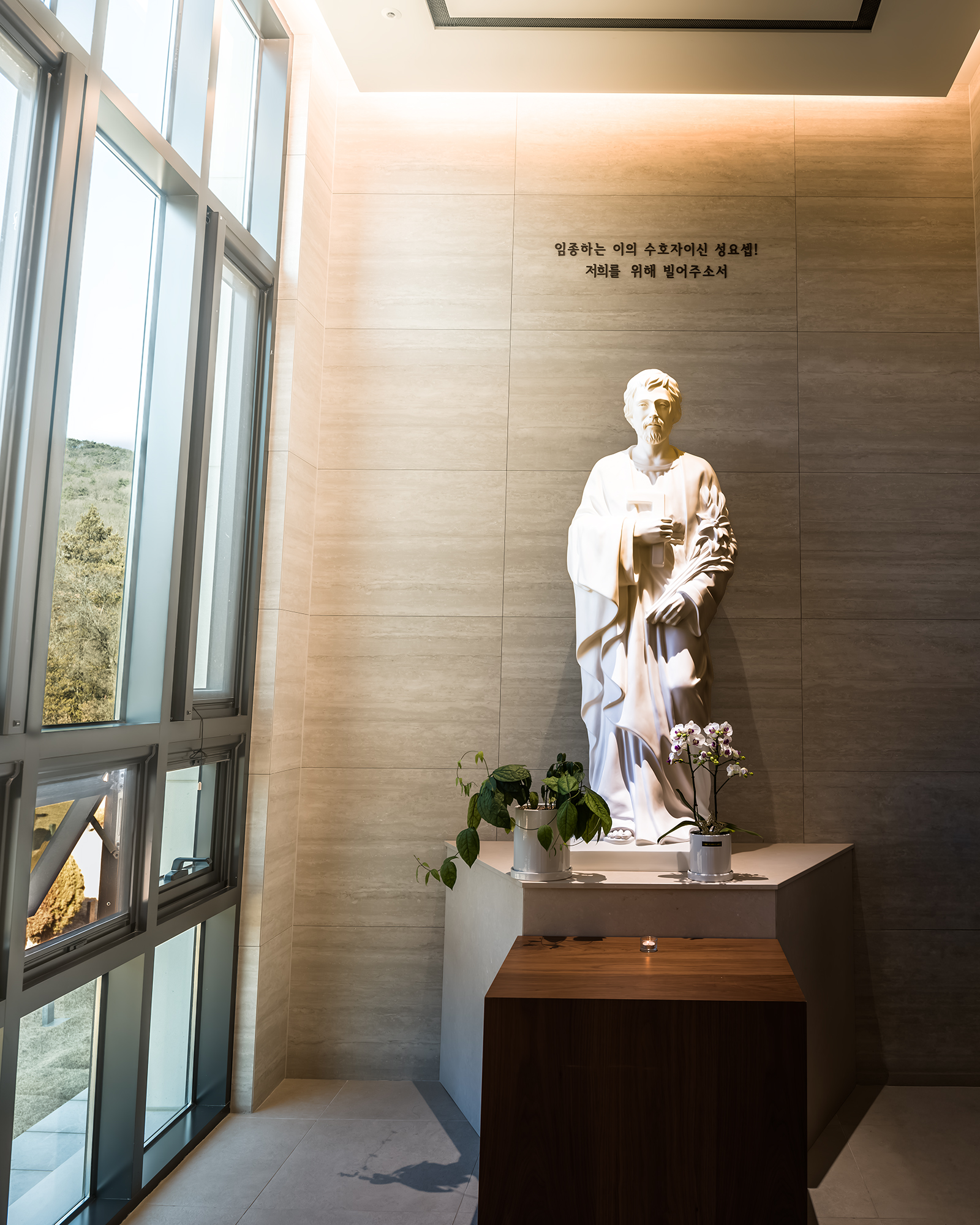 St. Joseph Statue - A white religious statue stands on a pedestal beside tall windows, lit by warm sunlight with potted plants and a candle below. - #StJoseph #SaintJoseph #StJosephStatue #SaintJosephStatue #StatueOfSaintJoseph #Catholic #CatholicChurch #CatholicFaith #Christianity #ChristianArt