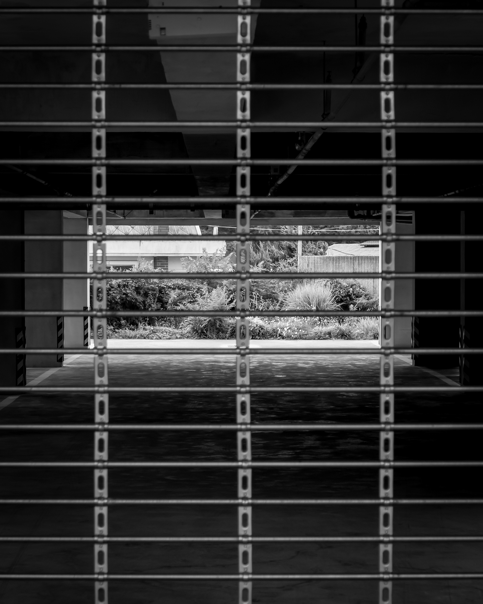 Iron Bars - A black-and-white view through metal bars frames a dark garage interior and a bright strip of plants beyond. - #IronBars #MetalBars #SteelBars #IronGrille #Bars #Metalwork #IronStructure #Architecture #UrbanDetail #IndustrialStyle