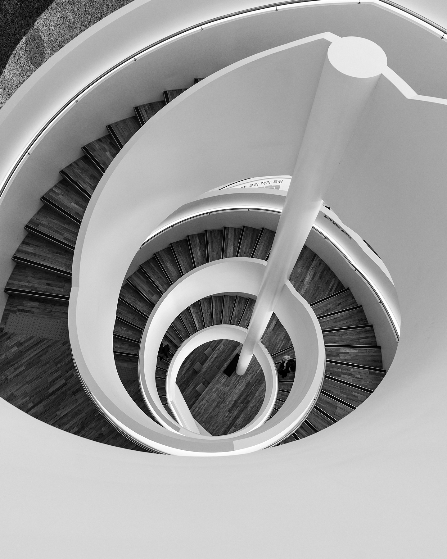 Gyeonggi Library - A black-and-white overhead view frames a spiral staircase with wooden steps, white curves, and soft interior lighting. - #GyeonggiLibrary #GyeonggiDo #Suwon #SuwonCity #Gwanggyo #Library #PublicLibrary #ModernLibrary #LibraryArchitecture #ArchitecturePhotography