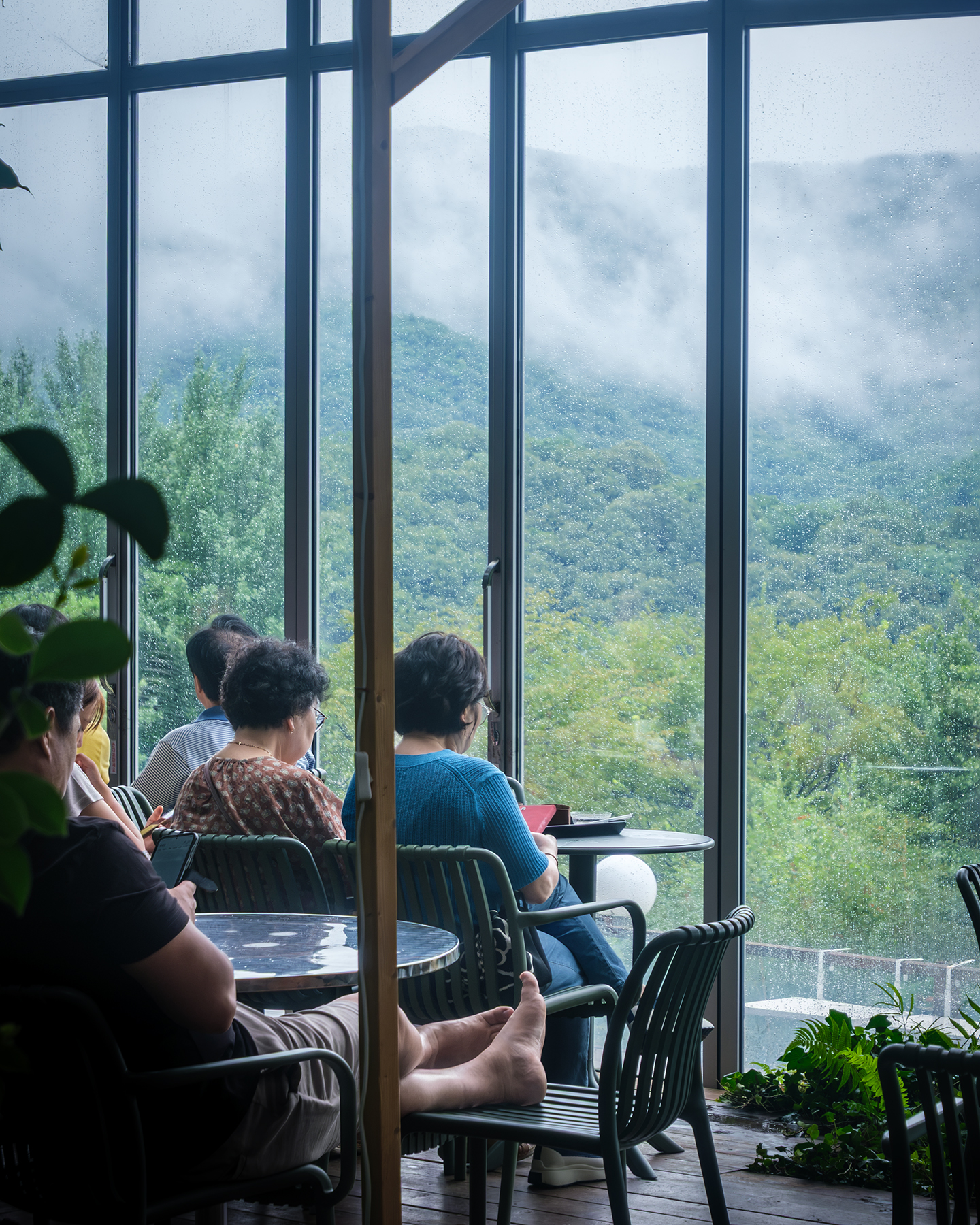 Birugae Botanical Garden - People sit indoors beside tall rain-speckled windows, looking out toward misty green hills in soft natural light. - #BirugaeBotanicalGarden #BirugaeCafe #BotanicalGardenCafe #GardenCafe #PlantCafe #GreenCafe #CafeInKorea #KoreanCafe #CafeTour #CafeHopping