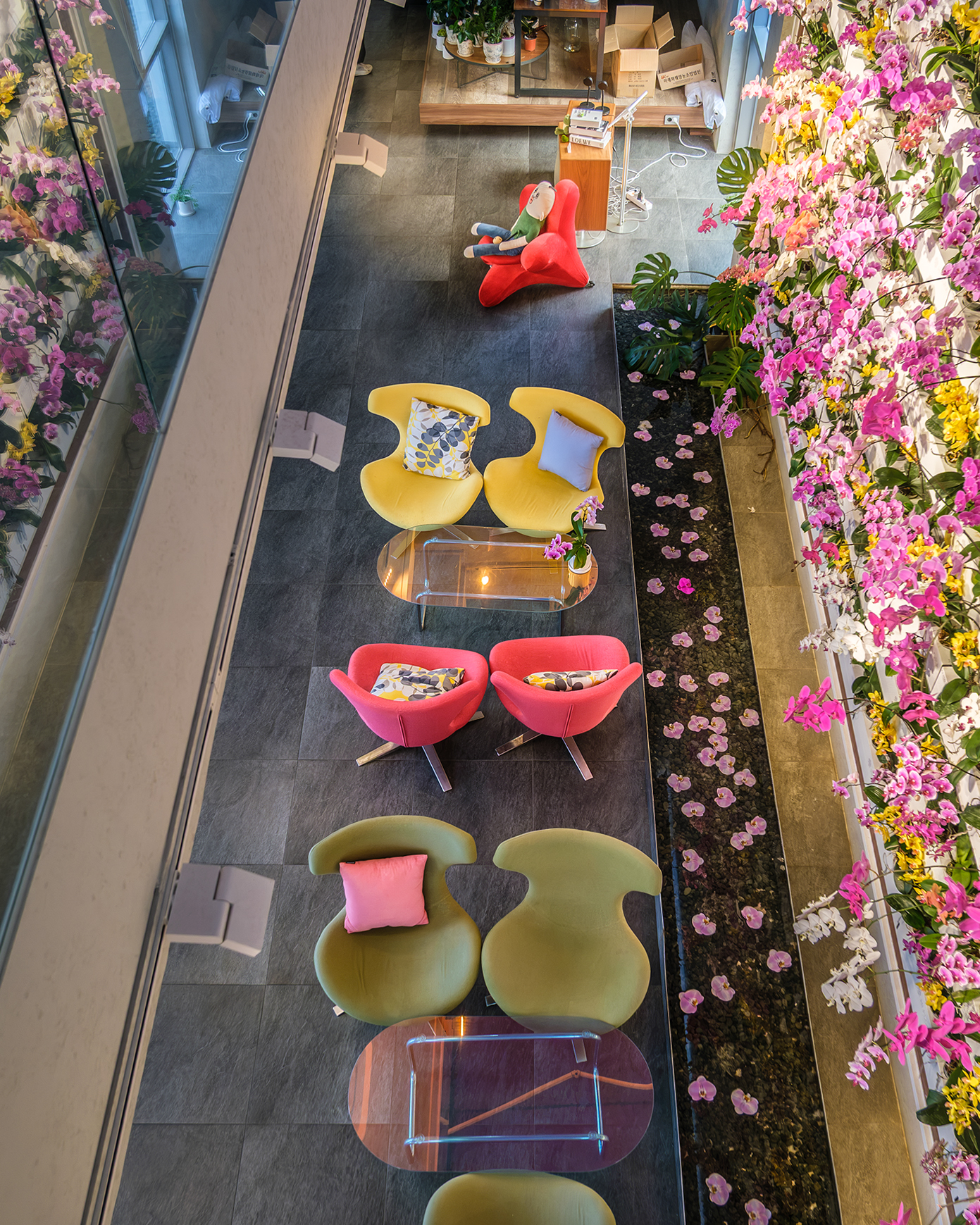 Hi Flora - An overhead view shows colorful lounge chairs and glass tables beside a wall of blooming orchids in a bright tiled interior. - #Cafe