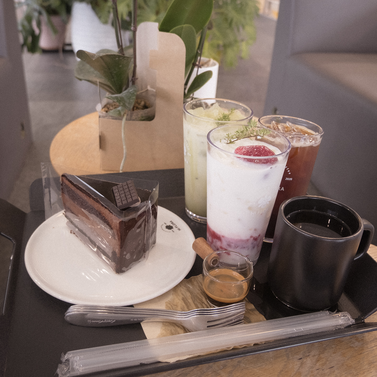 Hi Flora - A cafe table holds a slice of chocolate cake, several drinks, utensils, and potted plants in soft indoor light. - #cafe #dessert #cake #drinks #coffeetime #tabletop #indoors #softlight #plants #foodphotography