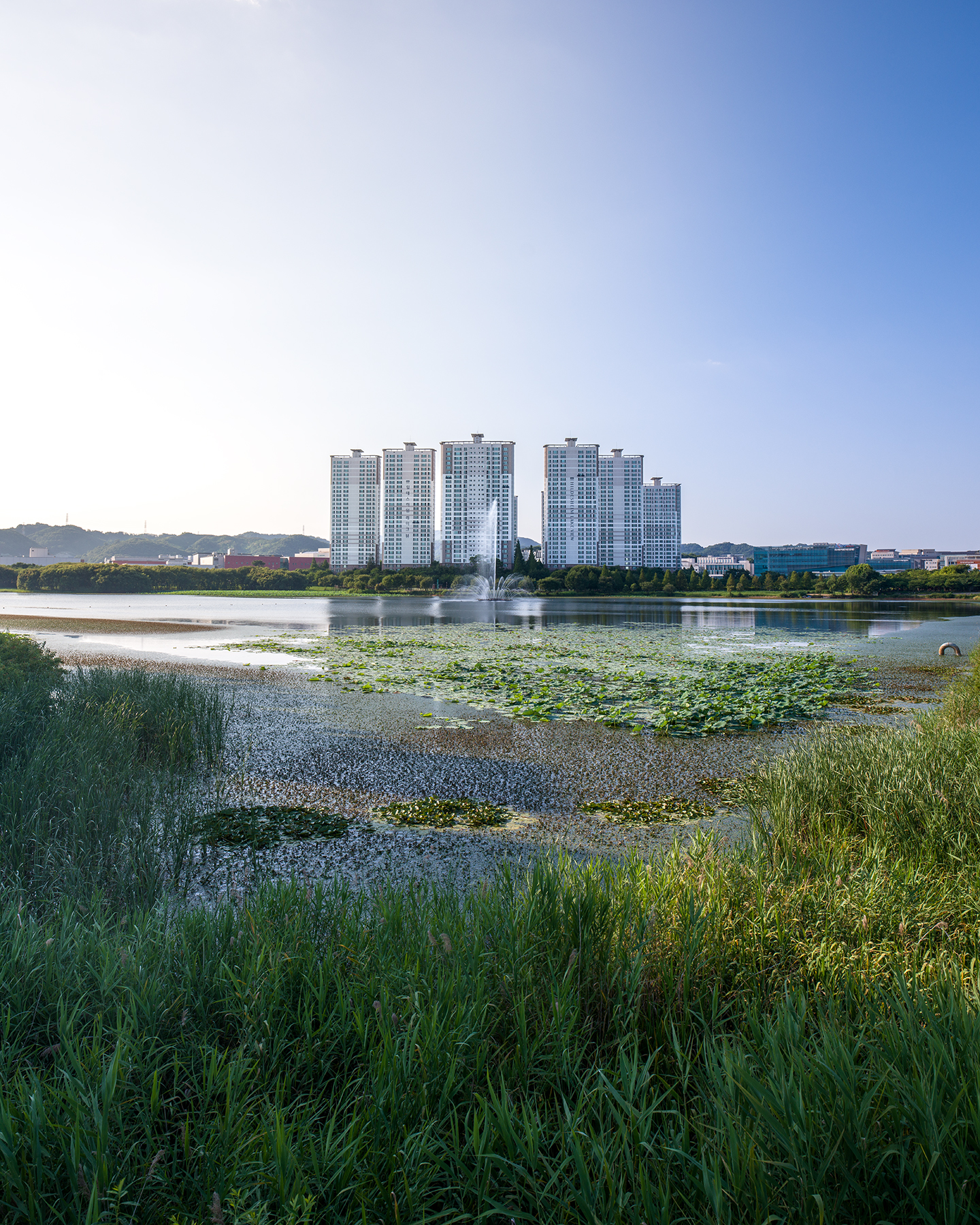 Osong - Tall apartment towers rise beyond a calm lake with reeds, lily pads, and a central fountain under a clear blue sky. - #Osong #Lake #Park #Apartment
