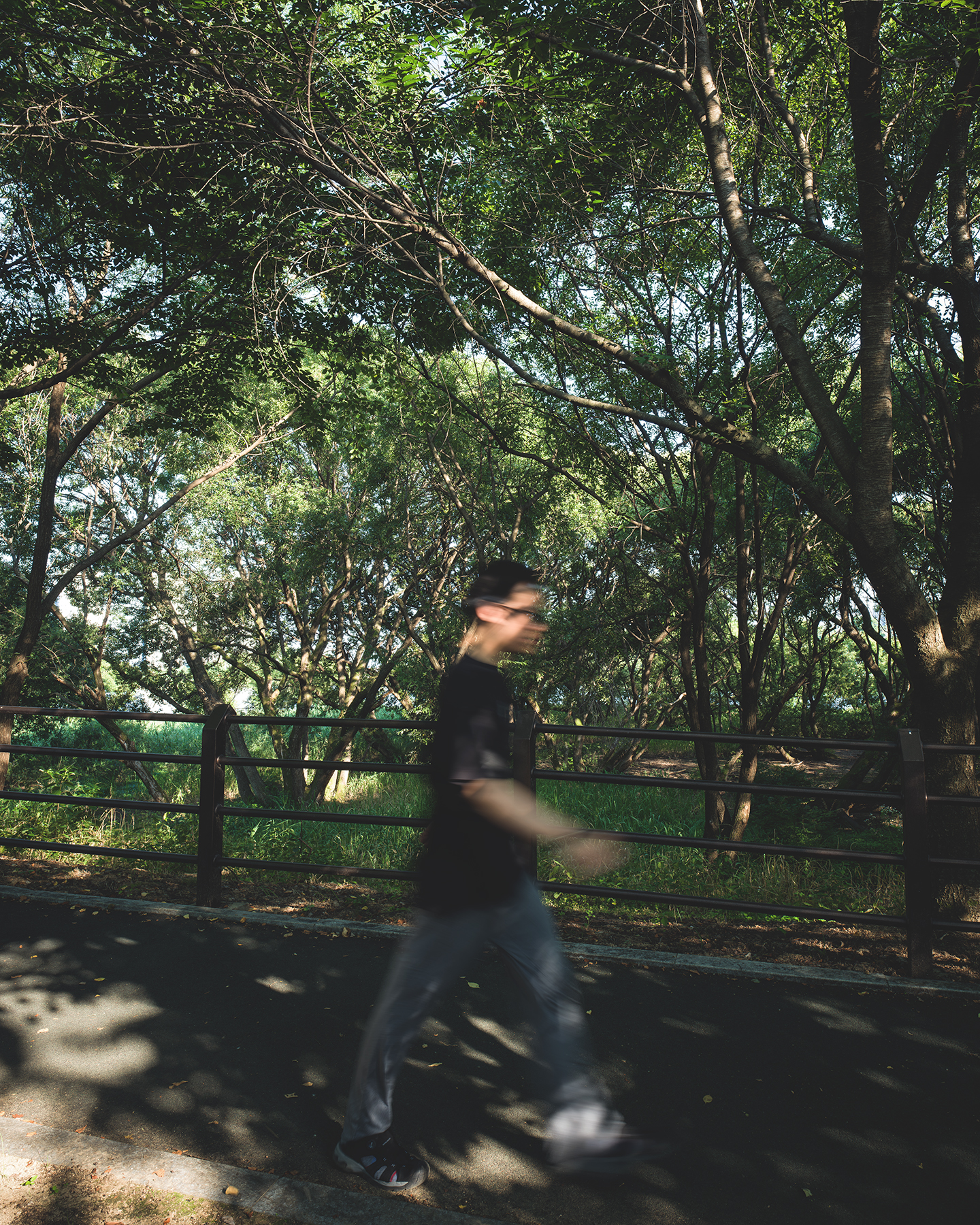 Osong - A motion-blurred person walks along a shaded path beside a railing under dense green trees and dappled sunlight. - #OsongLakePark #Osong #Cheongju #Chungcheongbukdo #SouthKorea #KoreaTravel #LakePark #LakeView #Lakeside #LakesideWalk