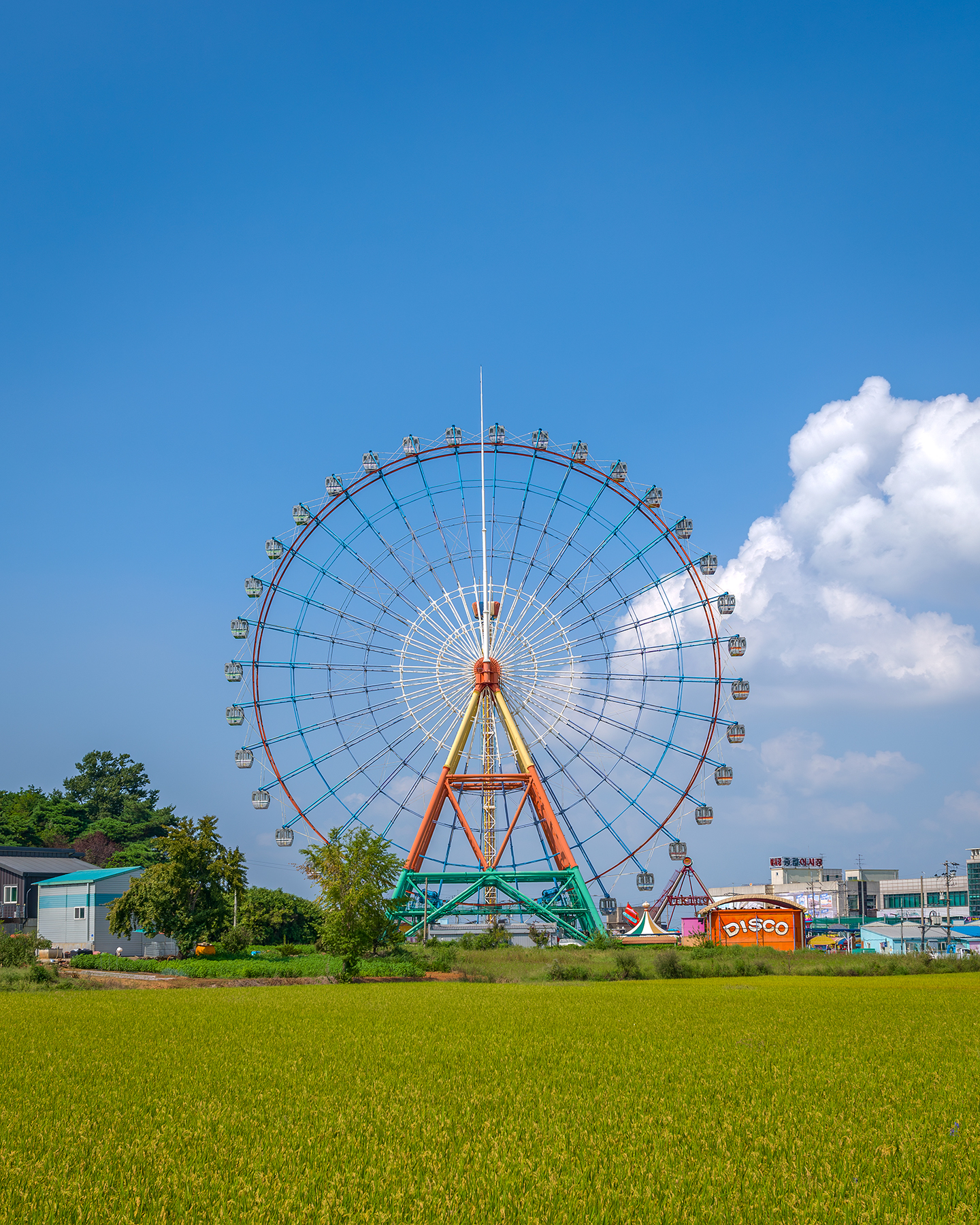 Sapgyo - A colorful Ferris wheel rises beyond a green field under a bright blue sky with large white clouds. - #Sapgyo #SapgyoLake #Sapgyoho #Dangjin #Chungcheongnamdo #SouthKorea