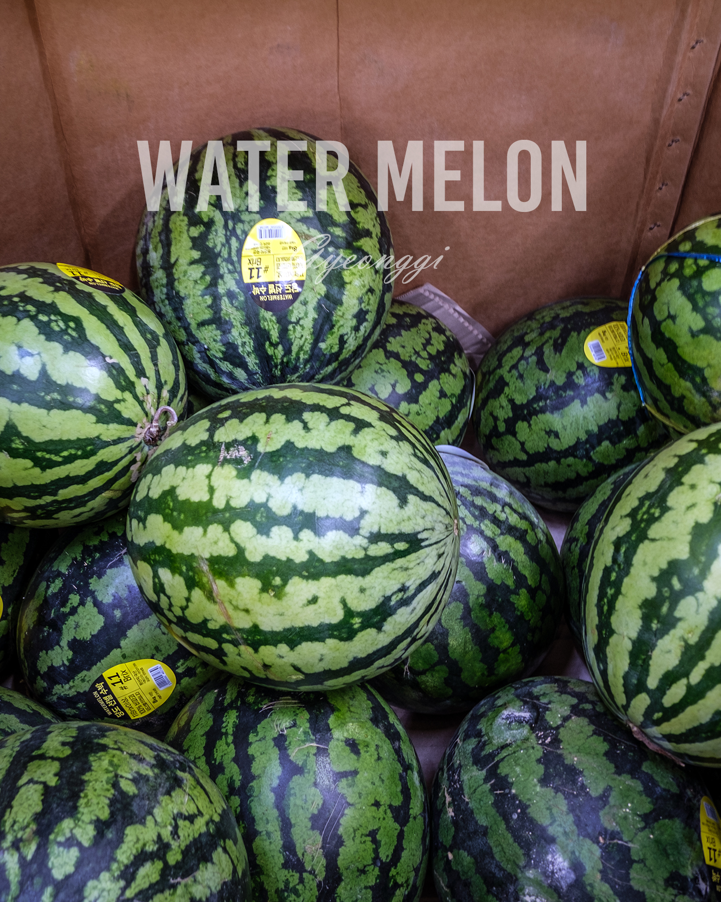 Water Melon - A close-up shows striped green watermelons piled in a cardboard bin under soft indoor light. - #Watermelon #Watermelons #FreshWatermelon #SummerFruit #FreshFruit #JuicyFruit #SeasonalFruit #SweetWatermelon #GreenAndRed #FruitPhotography