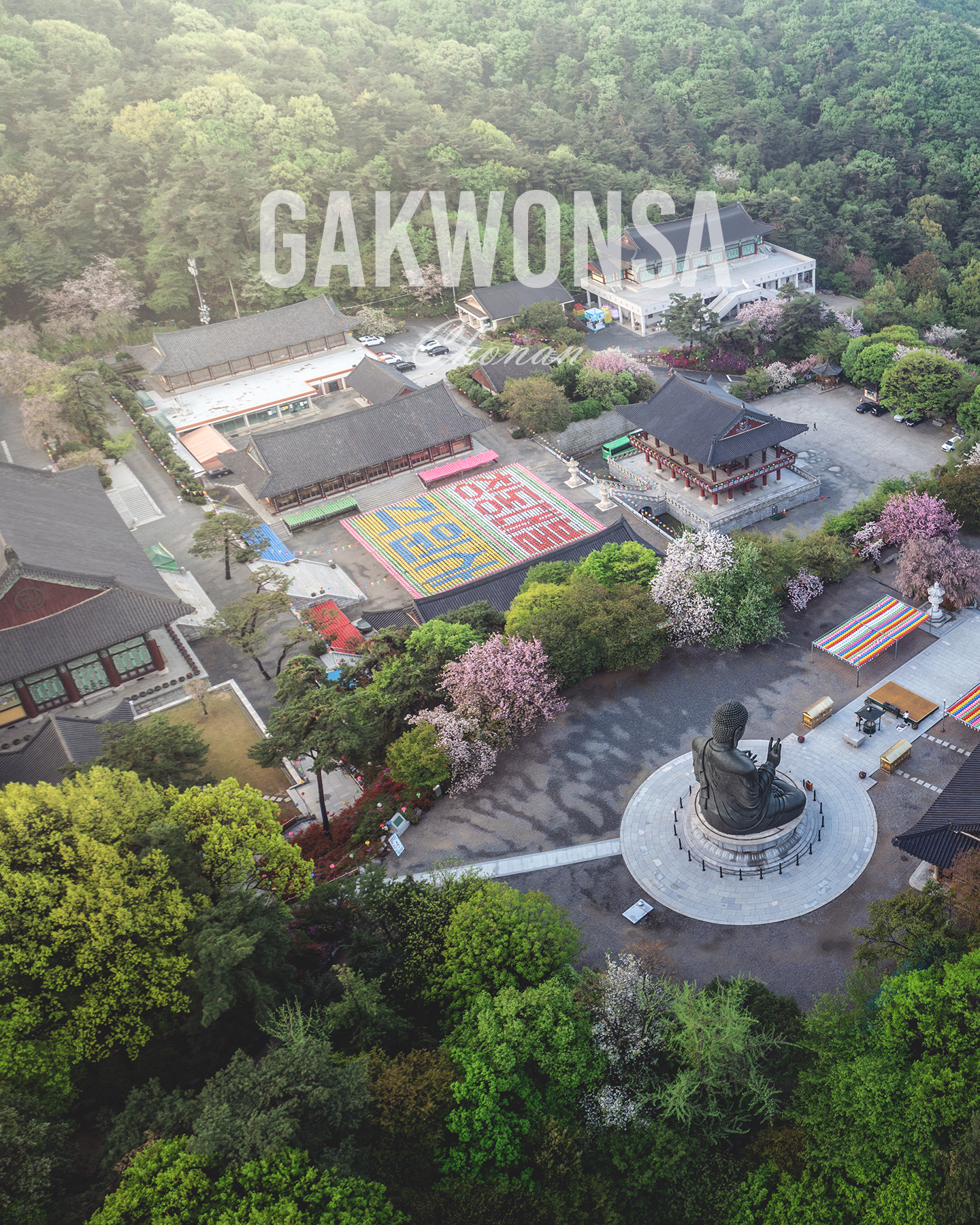 Gakwon Temple - An aerial view shows a forested temple complex with traditional roofs, a large seated Buddha statue, blooming trees, and soft hazy light. - #Gakwonsa #GakwonsaTemple #Cheonan #CheonanTravel #KoreanTemple #BuddhistTemple #KoreanBuddhism #TemplePhotography #TempleArchitecture #KoreanAr