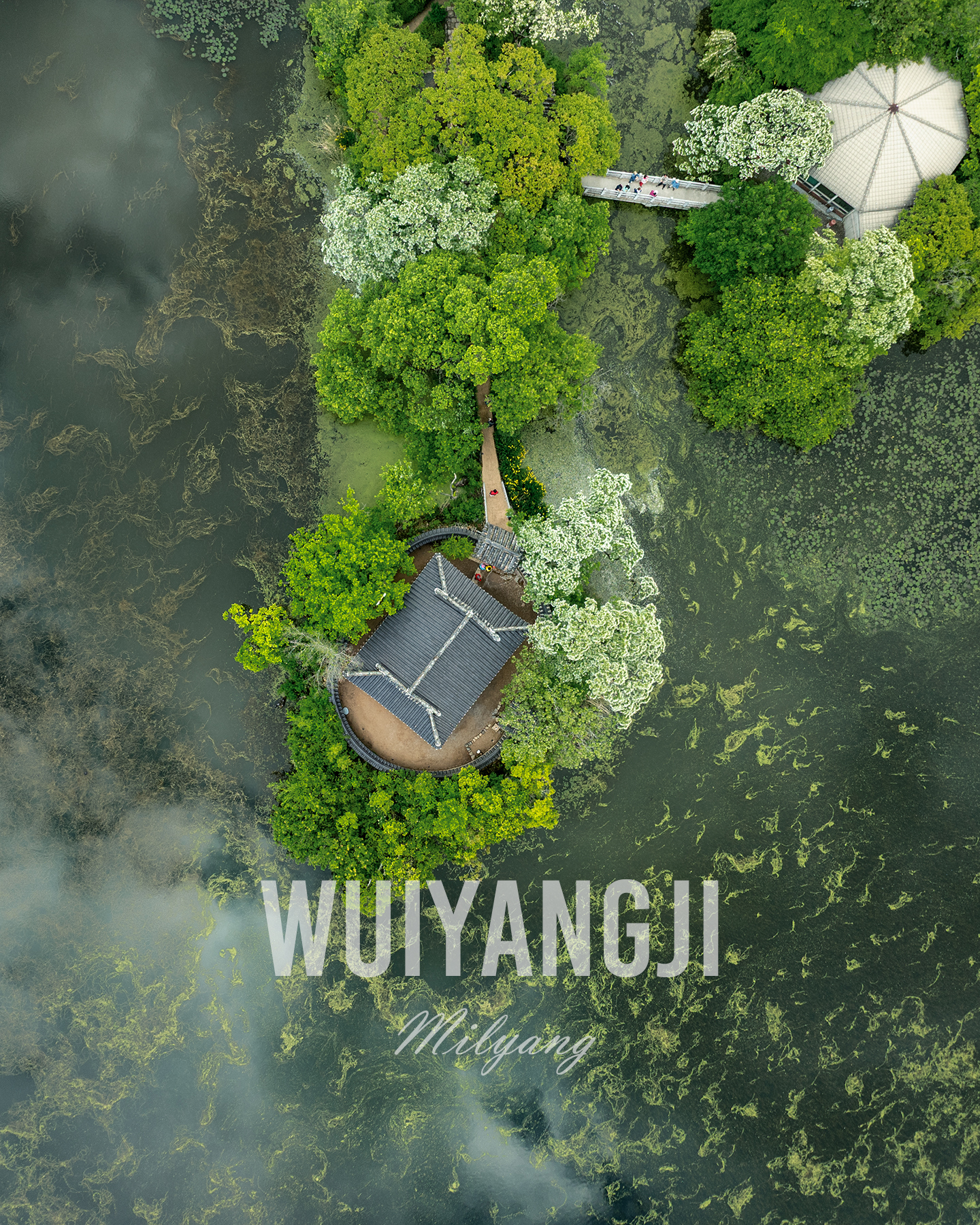Wiyangji - An aerial view shows wooded islets, footbridges, and pavilion roofs surrounded by green pond water and flowering trees. - #Wiyangji #WiyangPond #Miryang #MiryangKorea #Gyeongsangnamdo #KoreaTravel #VisitKorea #SouthKorea #KoreanLandscape #KoreanNature