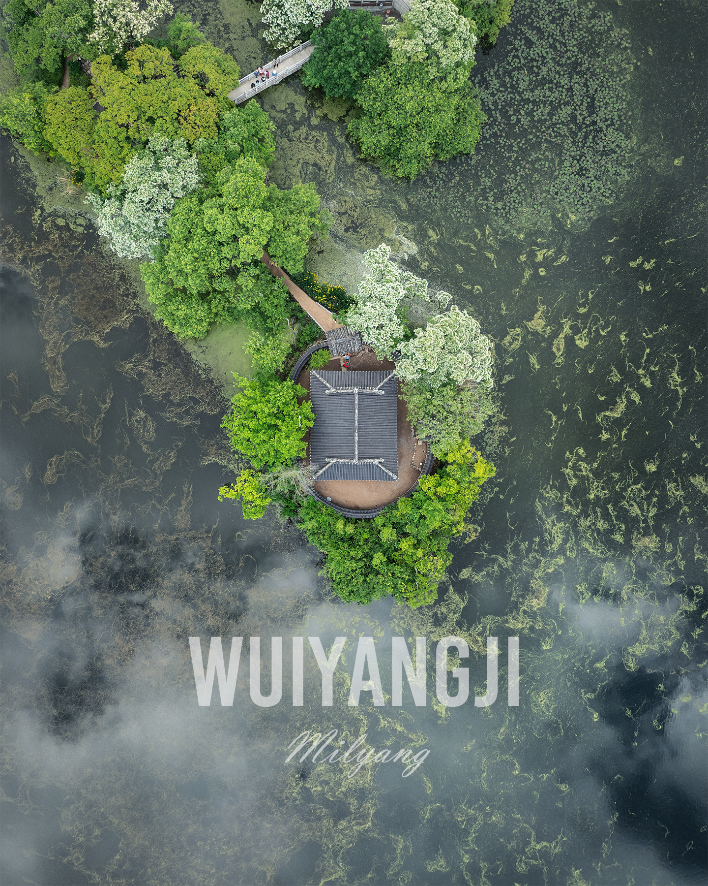 Wiyangji - An aerial view shows a pavilion on a small tree-covered island in a pond with aquatic plants and soft cloud reflections. - #Wiyangji #WiyangPond #Miryang #MiryangKorea #Gyeongsangnamdo #KoreaTravel #VisitKorea #SouthKorea #KoreanLandscape #KoreanNature