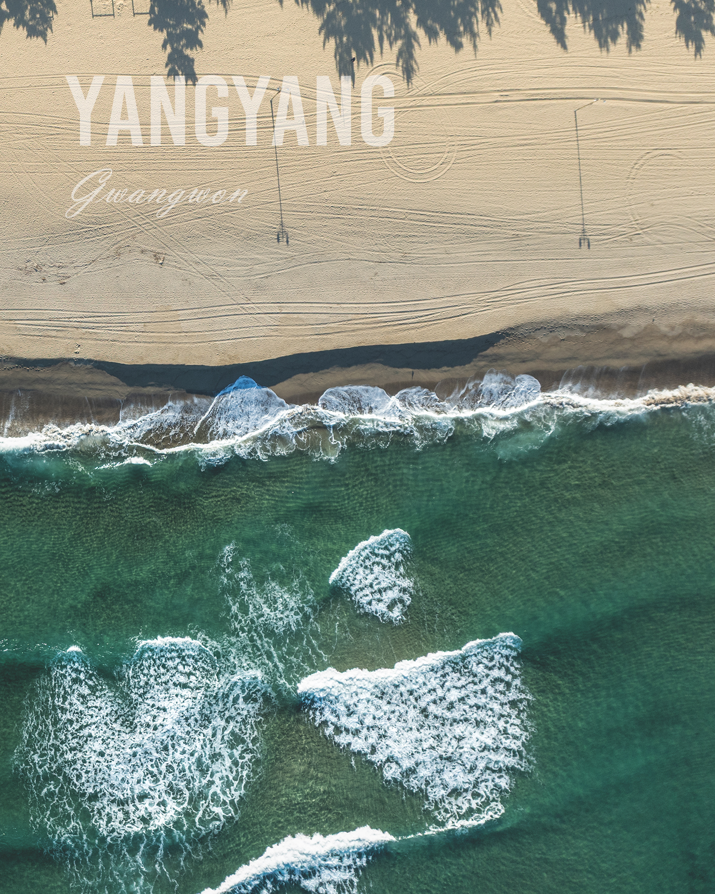 Yangyang - An aerial view shows white waves meeting a sandy beach marked by tire tracks, pole shadows, and dark tree silhouettes. - #Beach #Ocean #Sea #Waves #OceanWaves #SeaWaves #SandyBeach #EmeraldSea #TurquoiseWater #Coastline