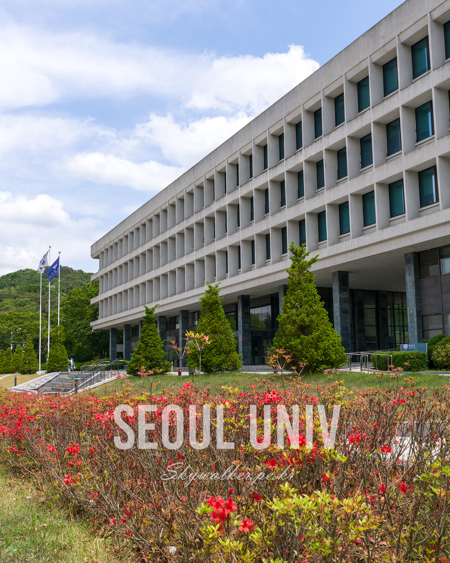 Seoul National University - A concrete campus building with repeating windows rises behind red flowering shrubs under a bright, partly cloudy sky. - #SeoulNationalUniversity #Campus #Architecture #ConcreteBuilding #UniversityCampus #SpringFlowers #RedFlowers #BlueSky #UrbanLandscape #Symmetry