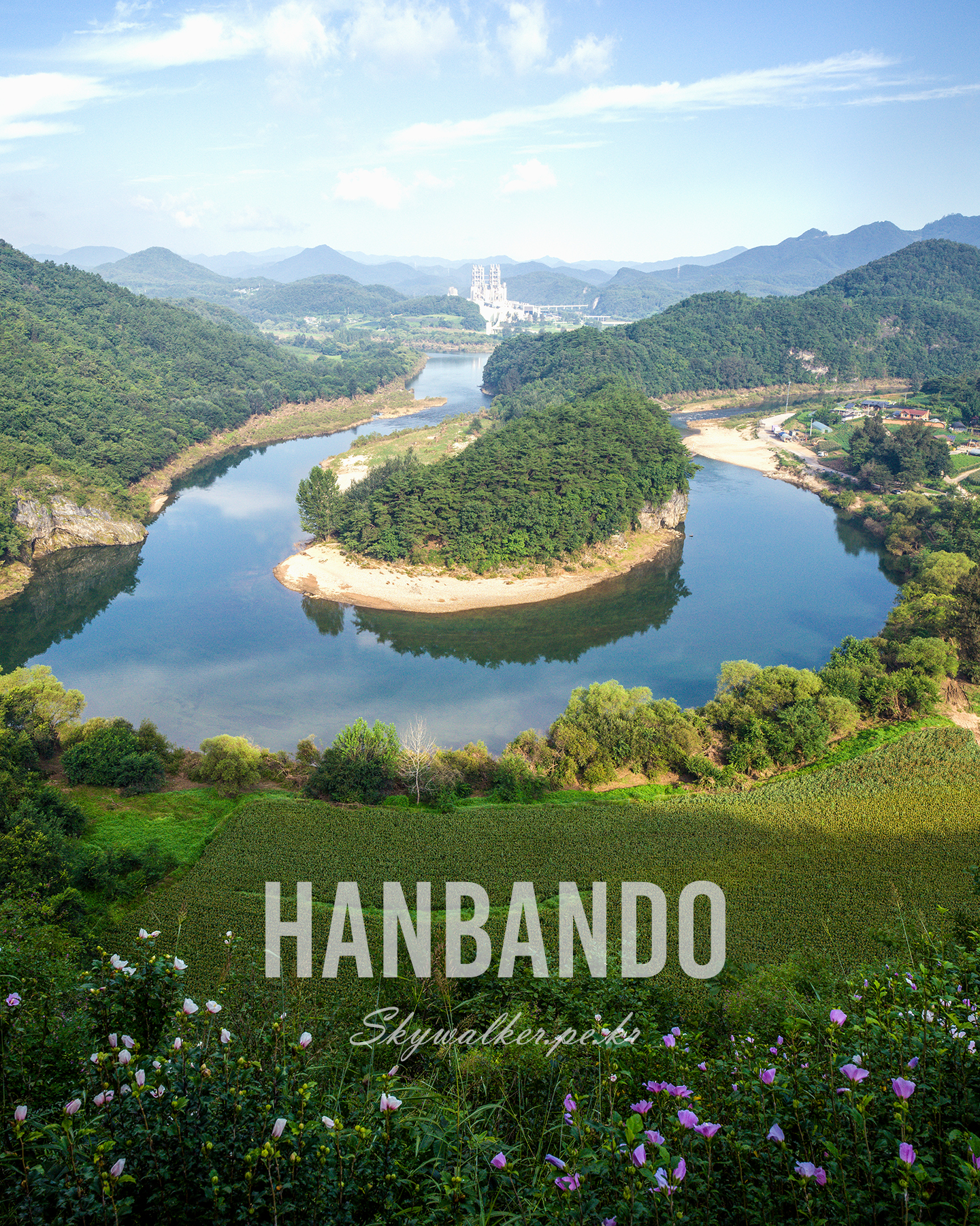 Hanbando - A winding river encircles a forested peninsula amid green mountains, with wildflowers in the foreground and soft daylight under a blue sky. - #RiverLandscape #ForestedHills #MountainView #RiverBend #NaturePhotography #ScenicView #GreenLandscape #Wildflowers #BlueSky #Panorama