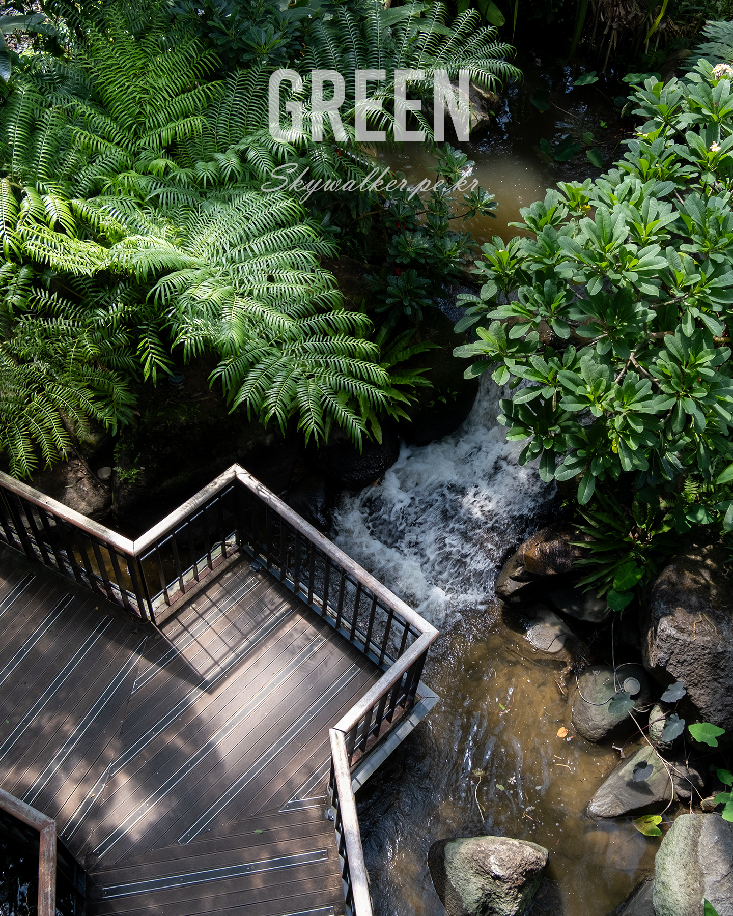 Green - A wooden walkway overlooks a small waterfall and stream amid dense green tropical foliage in dappled sunlight. - #green #foliage #waterfall #stream #walkway #tropical #garden #nature #sunlight #lush