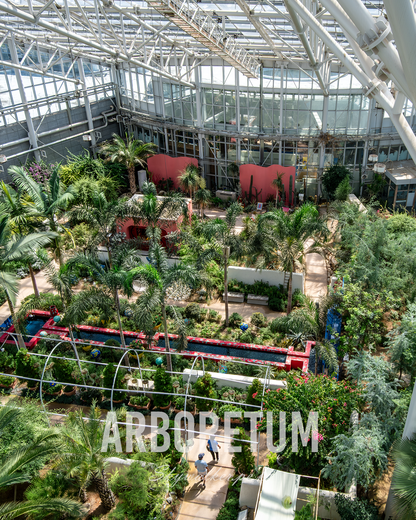 Arboretum - A sunlit indoor arboretum fills a glass-roofed atrium with palms, dense greenery, winding paths, and airy white steel beams. - #Arboretum #IndoorGarden #GlassAtrium #PalmTrees #Greenhouse #Botanical #LushGreenery #Sunlit #Architecture #GardenPath