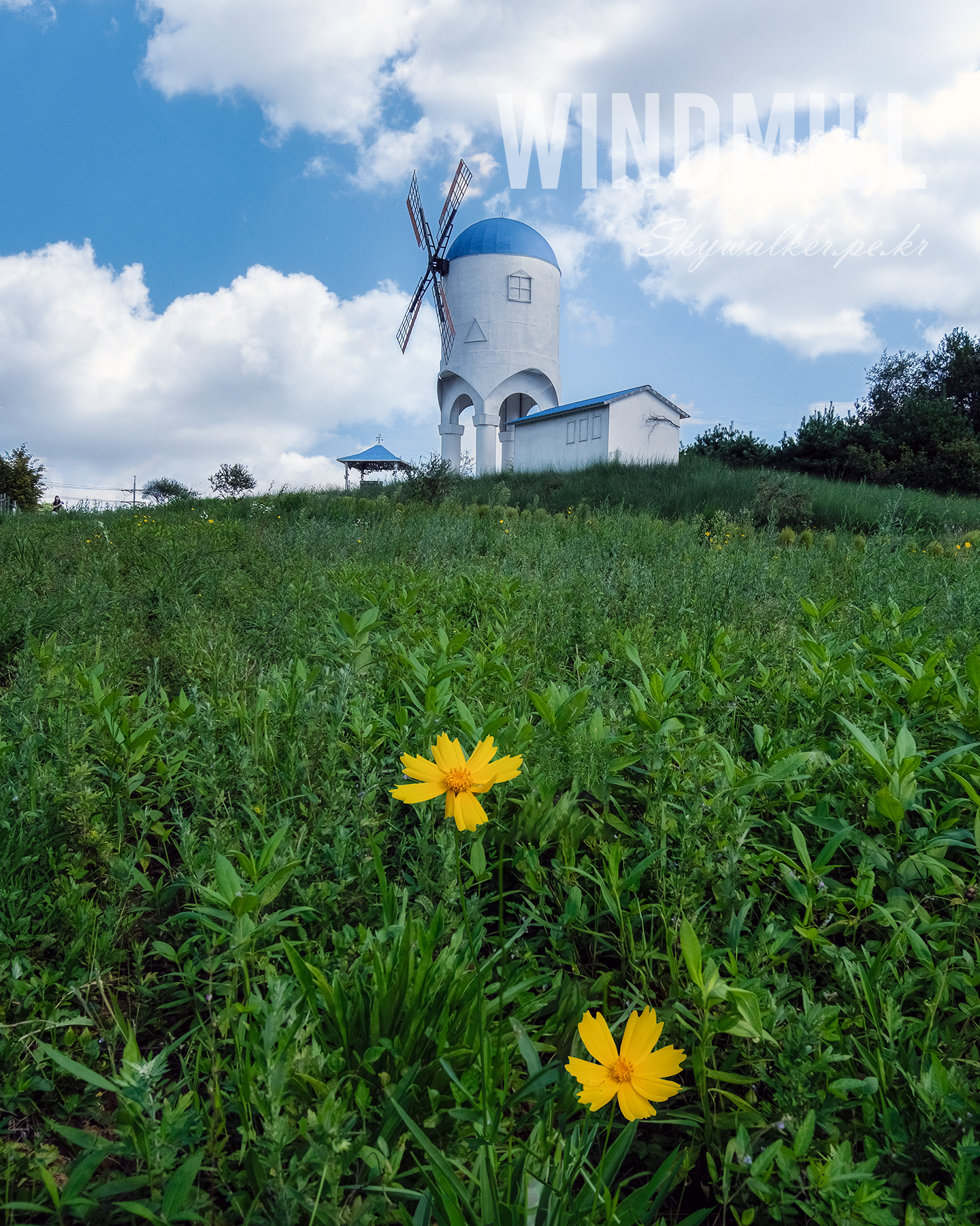 Windmill - A white windmill with a blue dome rises above a green meadow with yellow flowers under a bright sky with scattered clouds. - #windmill #landscape #wildflowers #greenhillside #bluesky #clouds #nature #summer #architecture #scenic