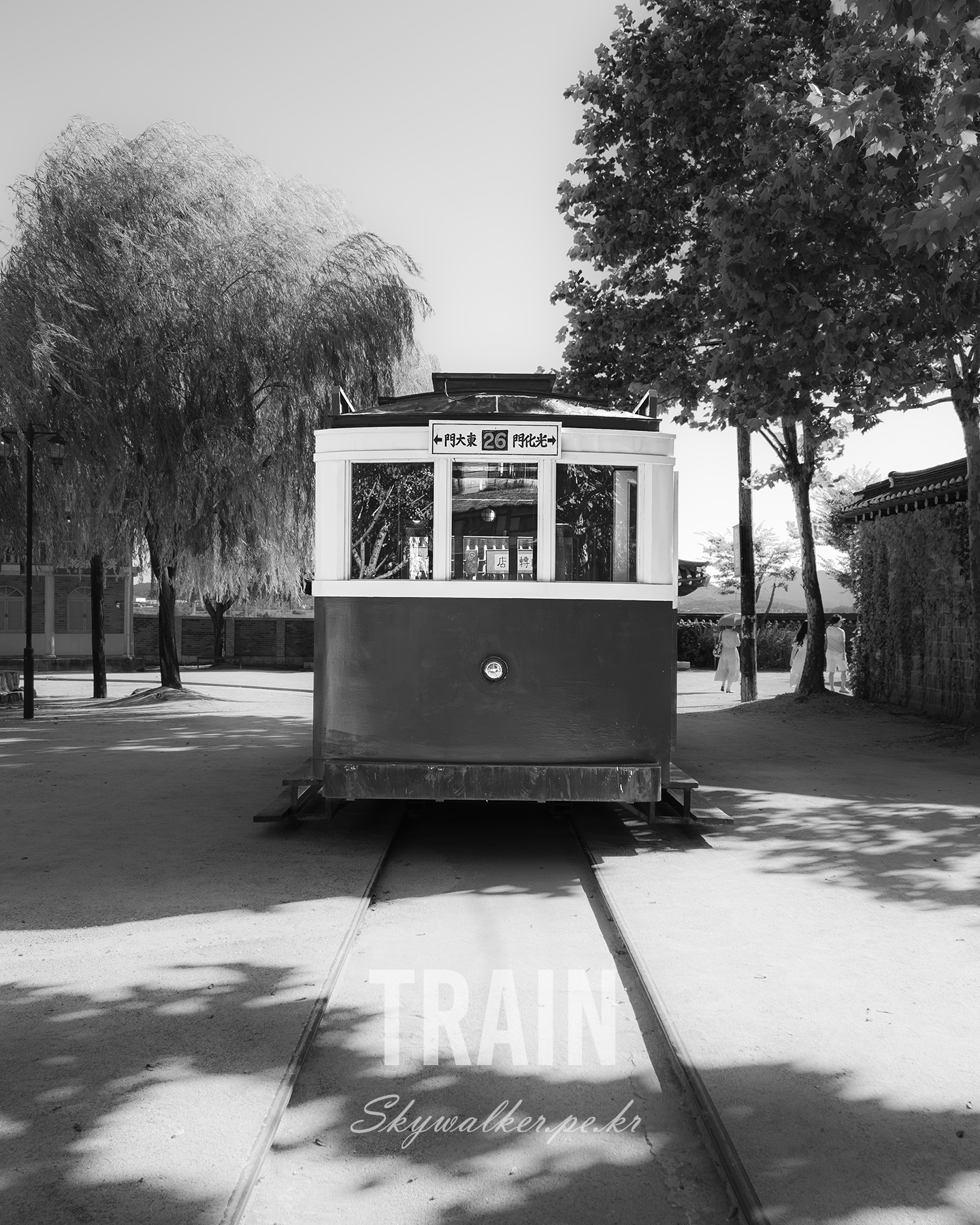Train - A vintage streetcar stands centered on rails beneath leafy trees, rendered in black and white with dappled sunlight and calm shadows. - #Train #Streetcar #VintageTrain #BlackAndWhite #Railway #UrbanScene #TreeLined #DappledLight #Symmetry #Monochrome
