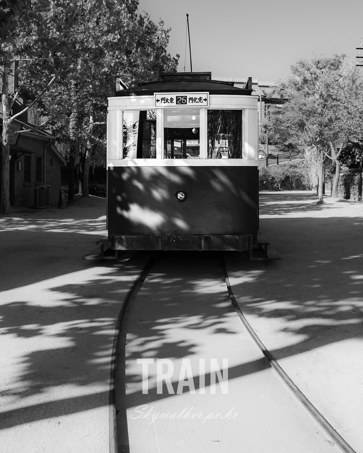 Train - A black-and-white view shows a vintage tram facing forward on curved tracks beneath trees with dappled sunlight and shade. - #Train #Tram #VintageTrain #BlackAndWhite #RailTracks #UrbanScene #TreeShadows #DappledLight #Symmetry #StreetPhotography